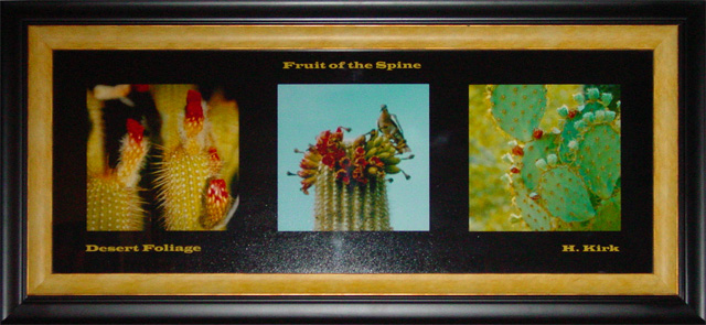 Fruit of the Spine Custom Framed - outer frame size 36" x 17".